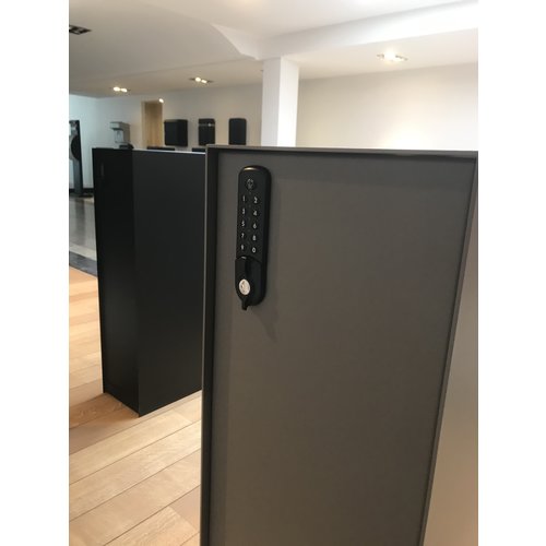 eSafe eSafe Nexus in RAL-Kleur | Digitaal slot