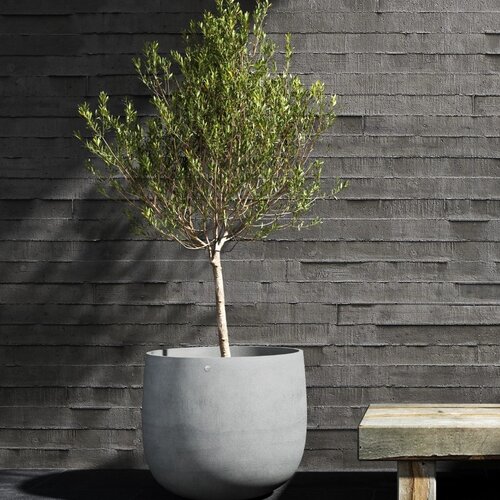 Jardinières Cosapots