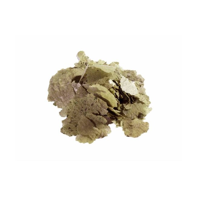 Dr. Bassleer Biofish Food Flora Flake