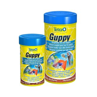 Tetra TetraMin Guppy