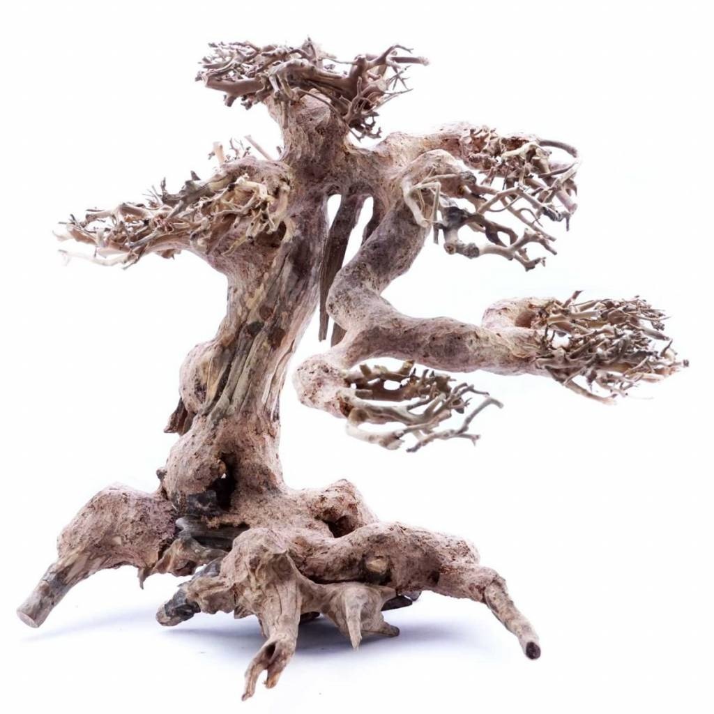 Bonsai Tree Driftwood Aqua Natura Your online aquarium