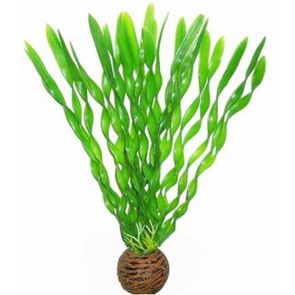 Easy Plants Middel #1 Easy Plants Middel #1