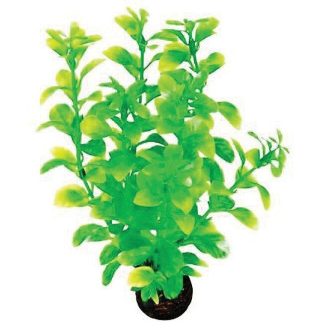 Superfish Easy Plants Middel #2