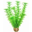 Easy Plants Middel #4