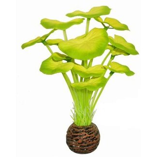 Easy Plants Voorgrond #5 - Zijde Easy Plants Voorgrond #5 - Zijde