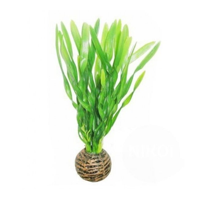 Superfish Easy Plants Voorgrond #6