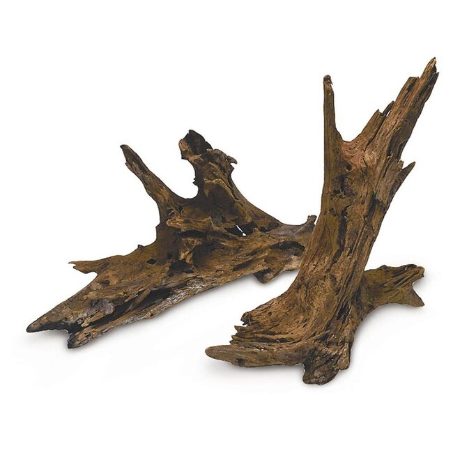 Driftwood