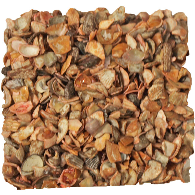 Gebroken Schelpjes Oranje - 750gr zak