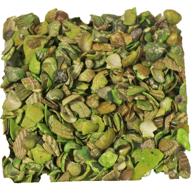 Gebroken Schelpjes Groen - 750gr zak