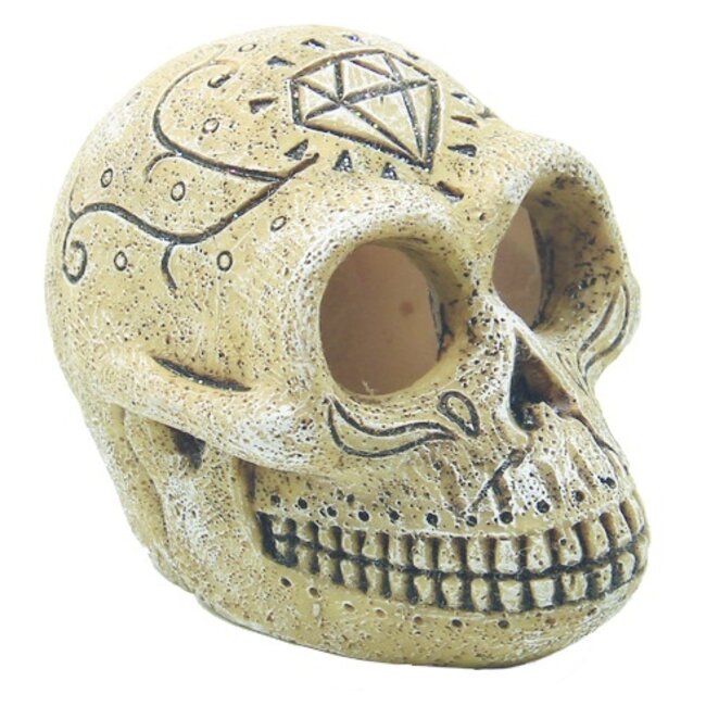 Superfish Skull Monkey