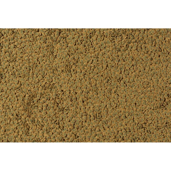 Tetra Pleco Veggie Wafers