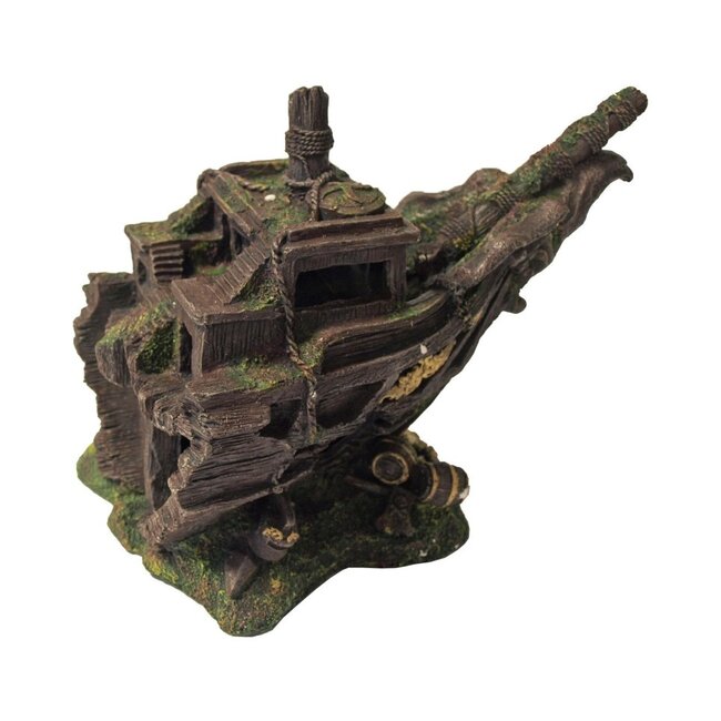 Voorsteven Schip (Scheepswrak)