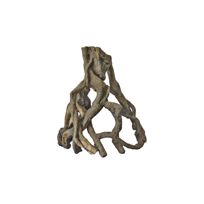 Superfish Mangrove Wortel - Large