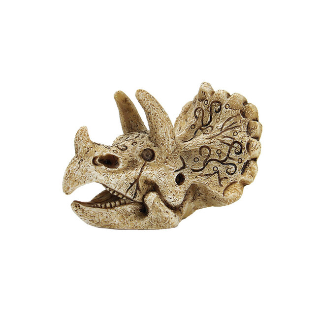 Superfish Skull Triceratops - Small