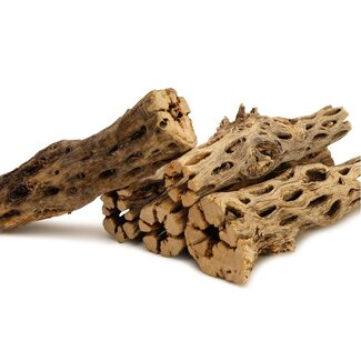 Cholla Wood