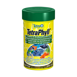 Tetra Tetra Phyll