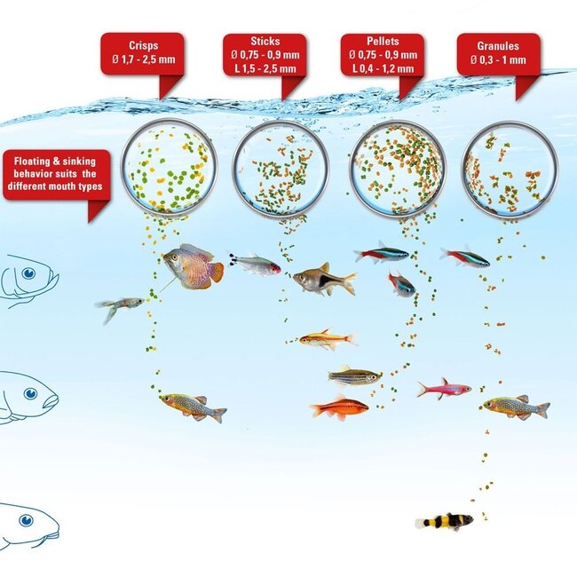 Tetra Micro Granulaat