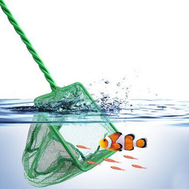 Schepnet Nylon - Groen