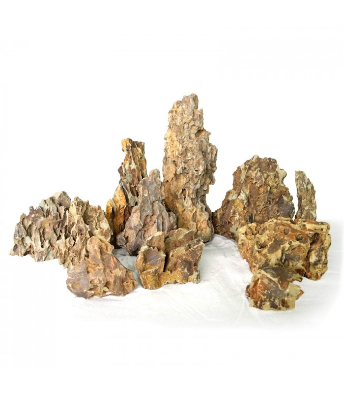 Dragon Stone - Aqua Natura
