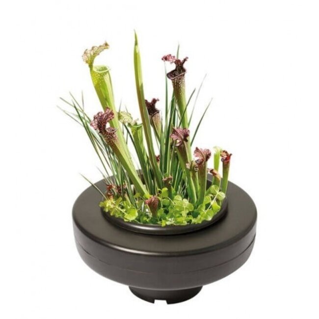 Superfish Floating Plant Basket - 22 cm