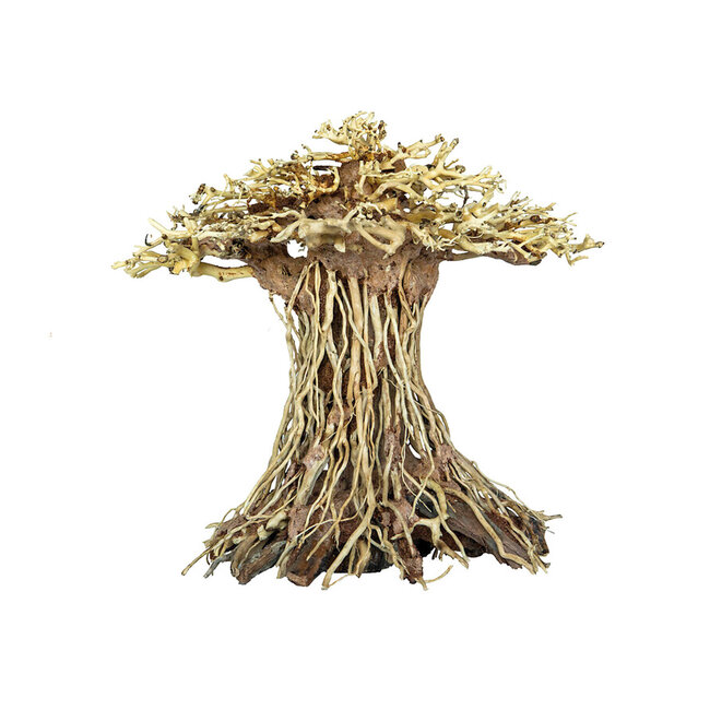 Superfish Bonsai Mushroom