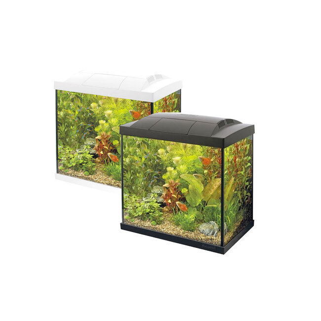 Superfish Start 30 Tropical Kit