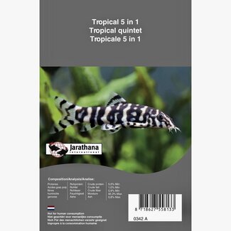 Tropical Mix - 5 in 1 Blister