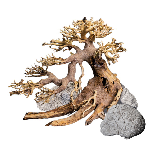 Dennerle Decor Box Bonsai