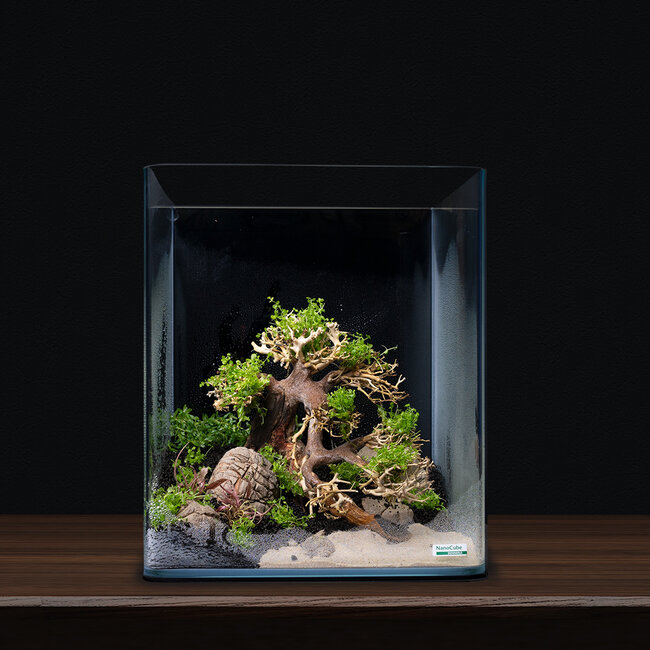 Dennerle Decor Box Bonsai