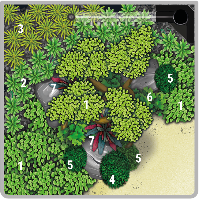 Dennerle Decor Box Bonsai