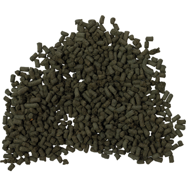 Dennerle Shrimp King Cambarellus / CPO