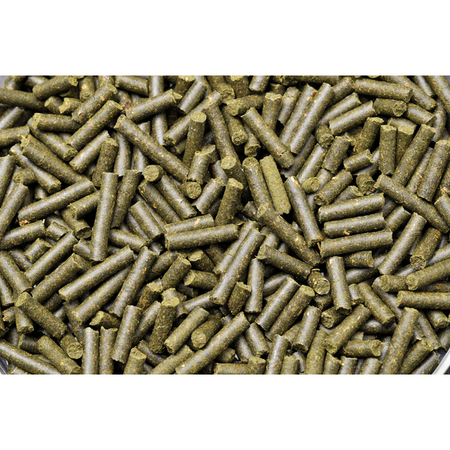 Dennerle Shrimp King Complete