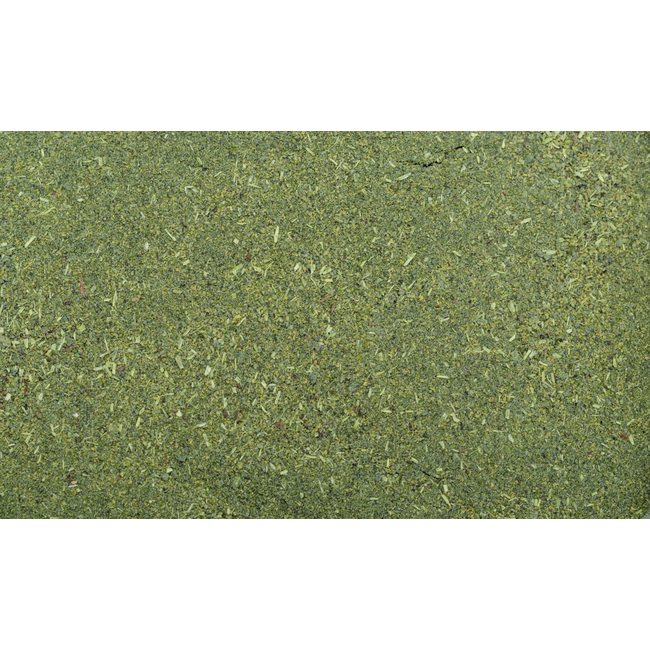 Dennerle Shrimp King Atyopsis