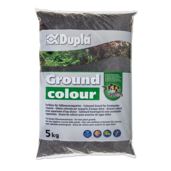 Dupla Ground Colour Black Star