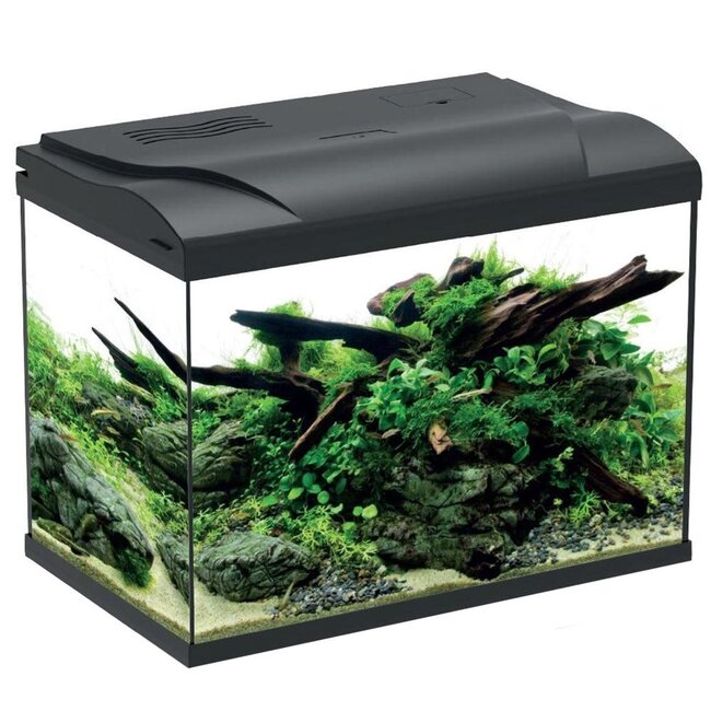 HS Aqua Platy 50 LED Aquarium