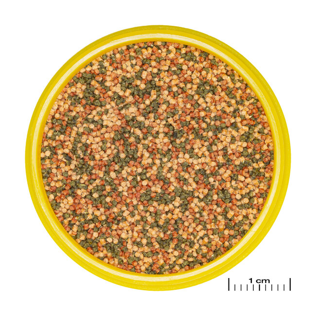 JBL Pronovo Bel Grano