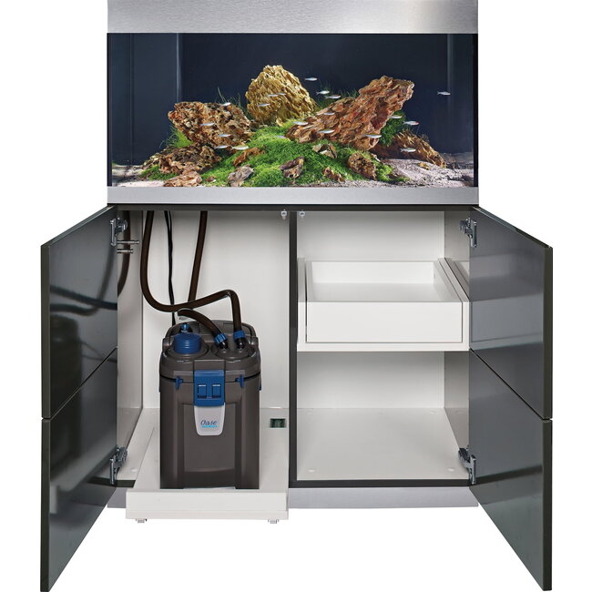 Oase BioMaster Thermo