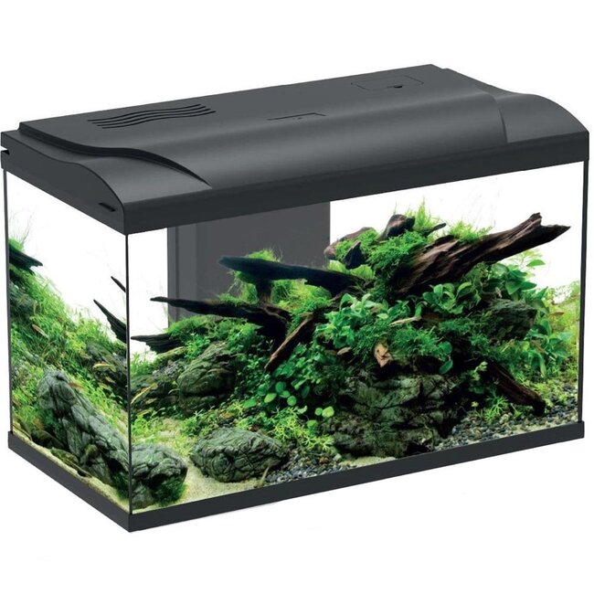 HS Aqua Platy 70 LED Aquarium