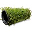 Superfish Deco Fish House Moss