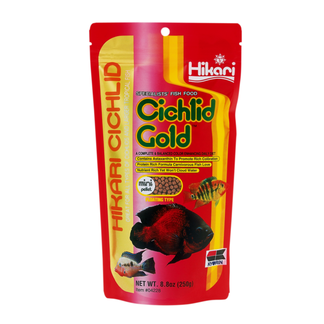 Hikari Cichlid Gold