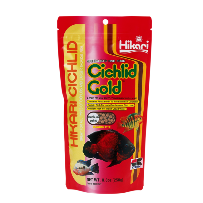 Hikari Cichlid Gold