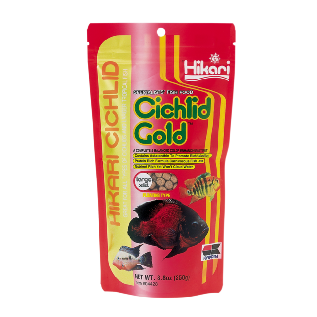 Hikari Cichlid Gold