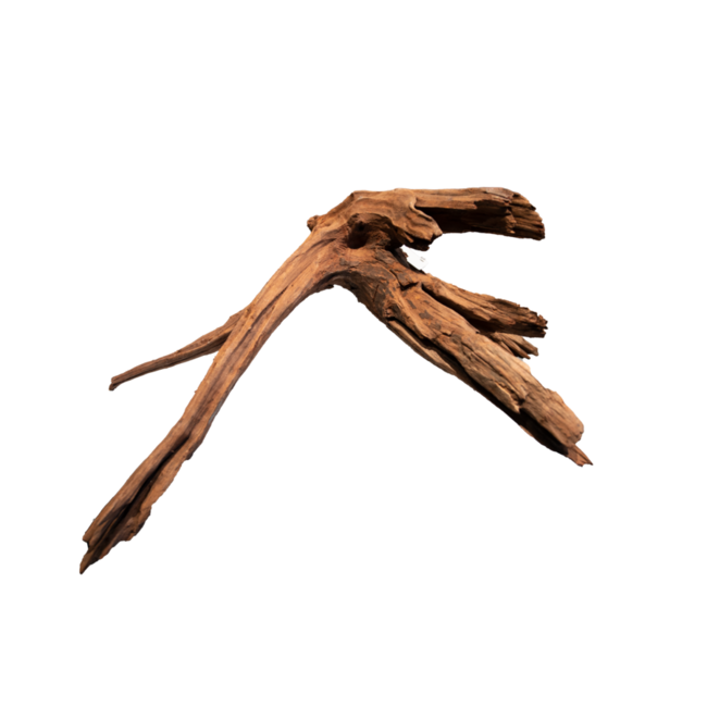 Superfish Mangrove Aged Wood