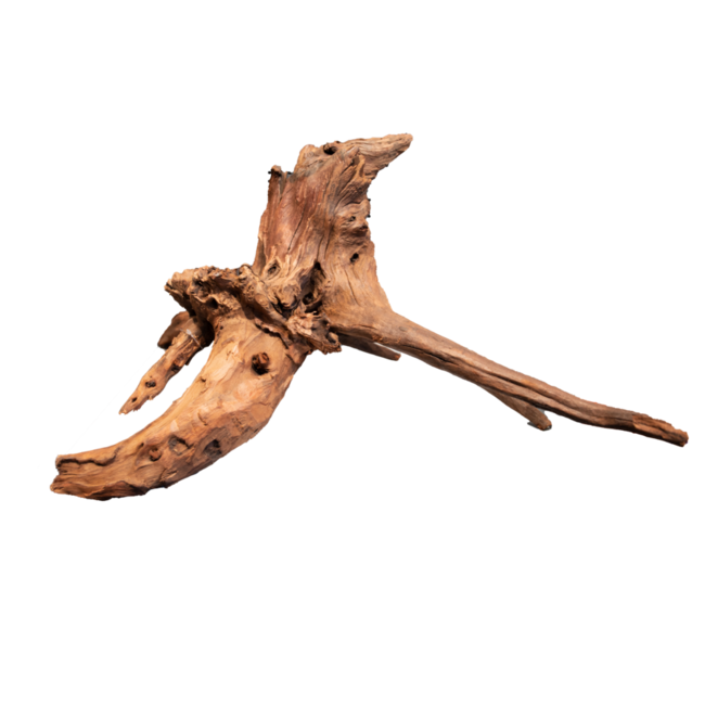 Superfish Mangrove Aged Wood