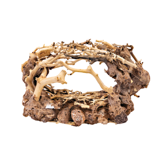 Superfish Bonsai Rock