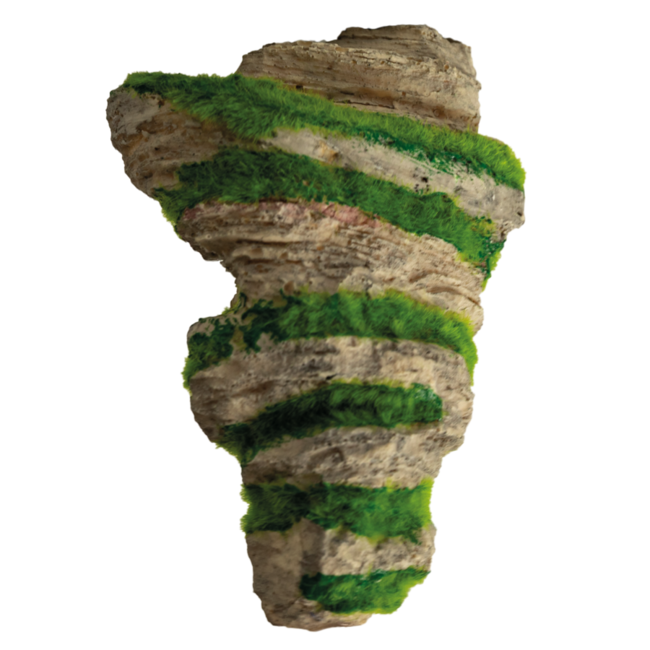 Superfish Floating Stone