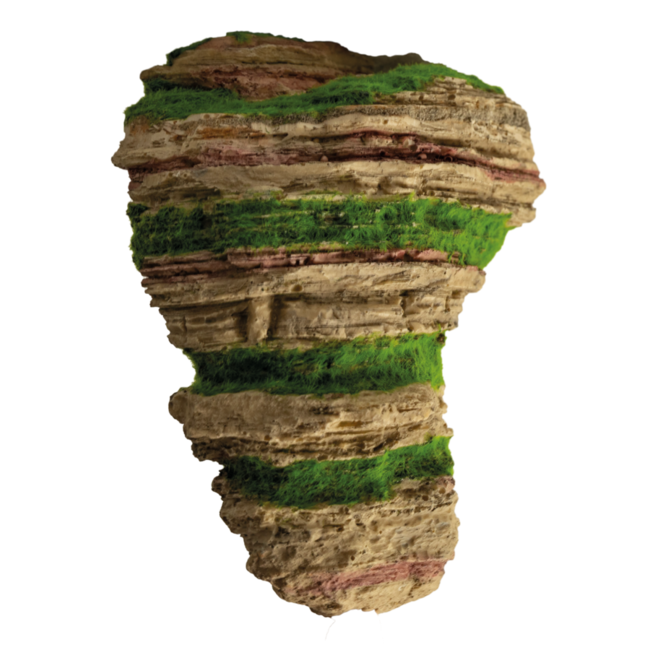 Superfish Floating Stone