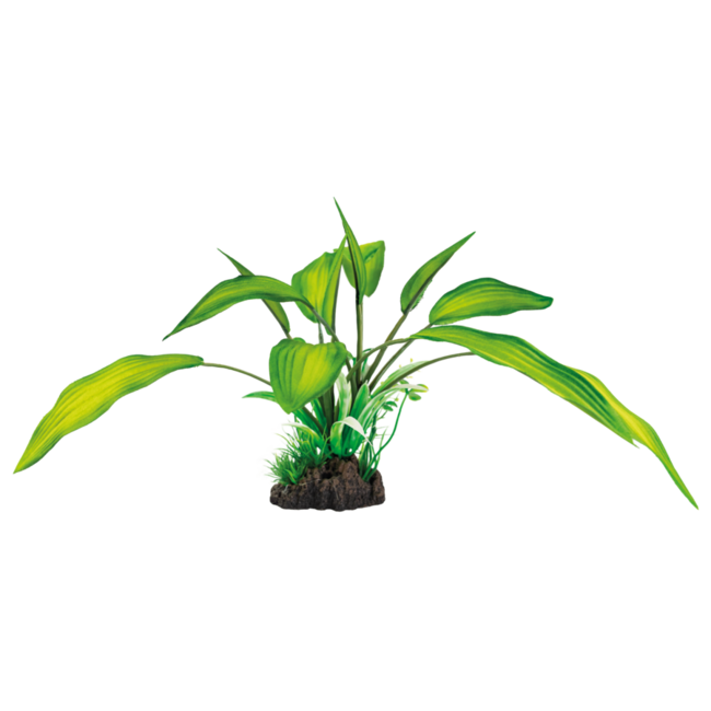 Superfish Art Plant Cryptocoryne