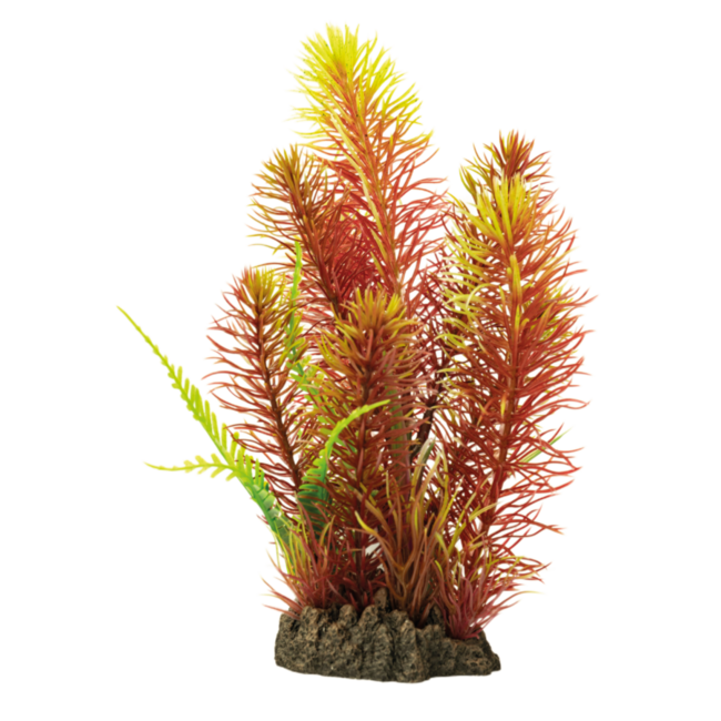 Superfish Art Plant Myriophyllum Red
