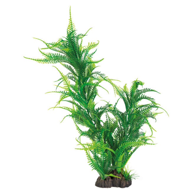 Superfish Art Plant Microsorum